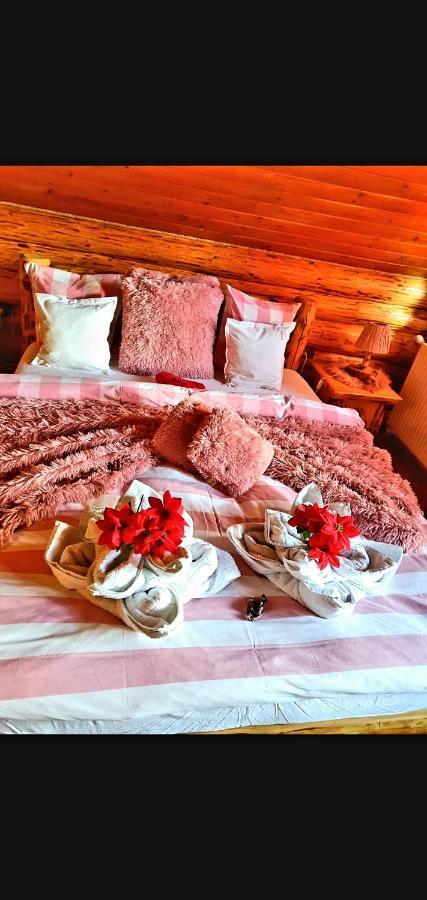 Вілла La Casute Bran Бран Екстер'єр фото